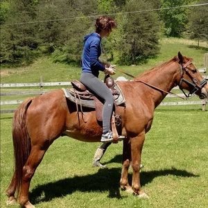 Meet your Posher, Hunter